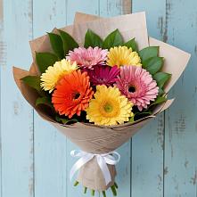 Букет цветов из:  Герберы #REPLACE_PRED# Цибино
