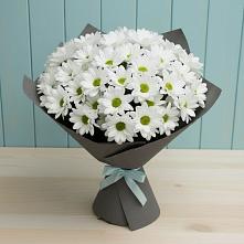 Букет цветов из:  Хризантемы #REPLACE_PRED# Цибино