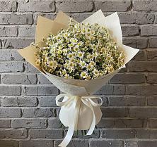 Букет цветов из:  Ромашки #REPLACE_PRED# Цибино