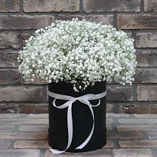 Цветочная композиция из Гипсофила в шляпной коробке #REPLACE_PRED# Цибино