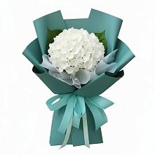 Букет цветов из:  Гортензия в Цибино
